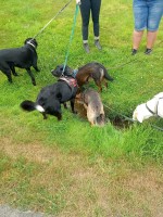 /album/2022/2022-12-jpg/